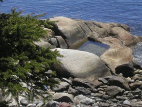 Tidal Pool at Mid-Tide